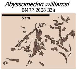 <i>Abyssomedon</i> Extinct genus of reptiles