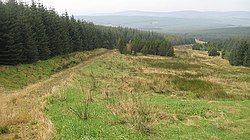 Ae - Hawick yo'li, Langshawburn - geograph.org.uk - 969472.jpg