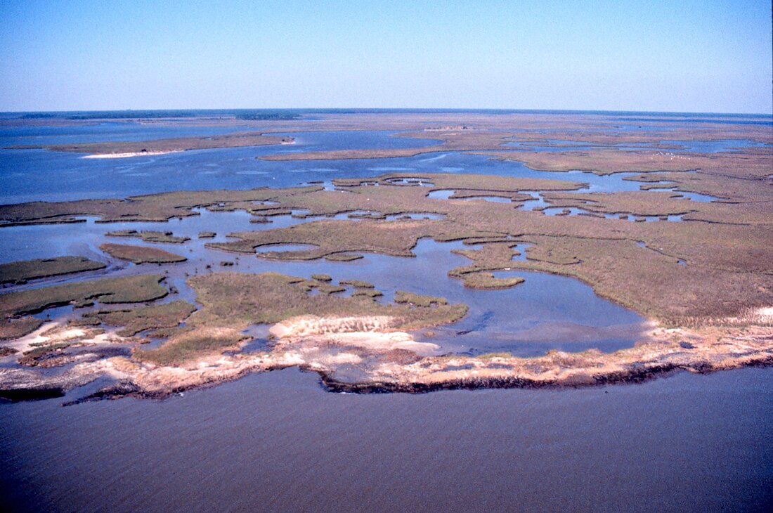 Grand Bay National Estuarine Research Reserve