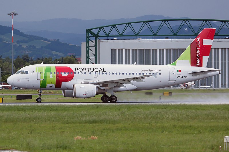 File:Airbus A319-111, TAP Portugal JP7633329.jpg