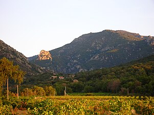 La serra de l'Albera, contrafort dels Pirineus, vista des de la Pava