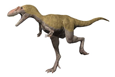 File:Albertosaurus NT small.jpg