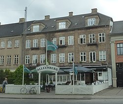 Frederiksberg Allégade: Gade på Frederiksberg