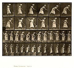 Animal locomotion. Plate 456 (Boston Public Library).jpg