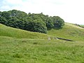 Approaching Orms Gill Green - geograph.org.uk - 194248.jpg