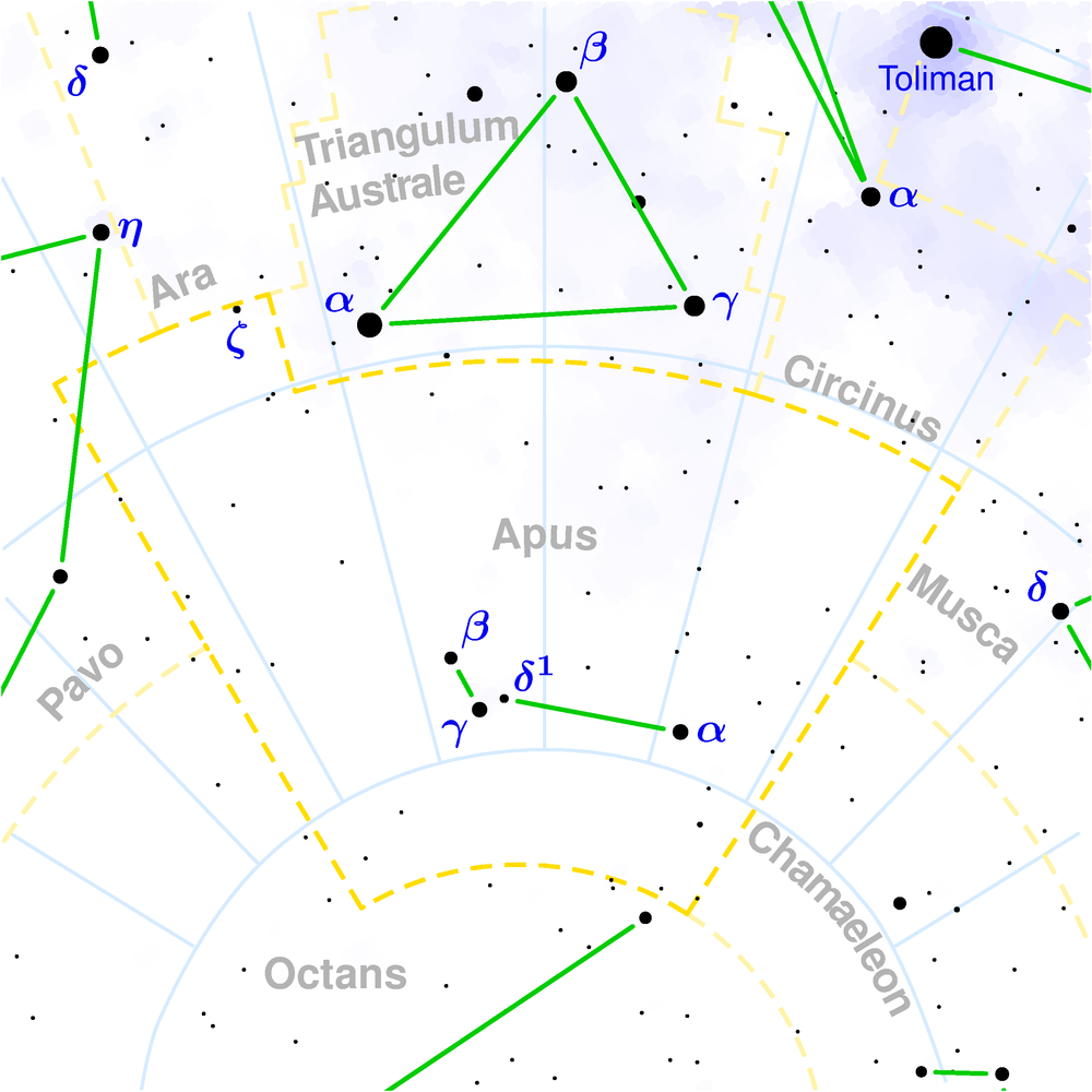 Paradisfuglen Wikiwand