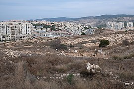 Archaeological site as seen from hill.jpg