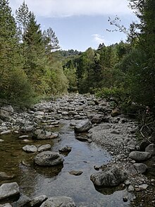 La valle del torrente Ardo