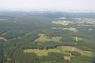 A floresta de Arnsberg no norte de Sauerland Oberland, perto de Warstein-Hirschberg