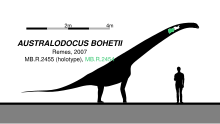 List of sauropodomorph type specimens - Wikipedia