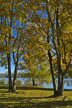 Autumn impression on lake feldmochingersee in Munich