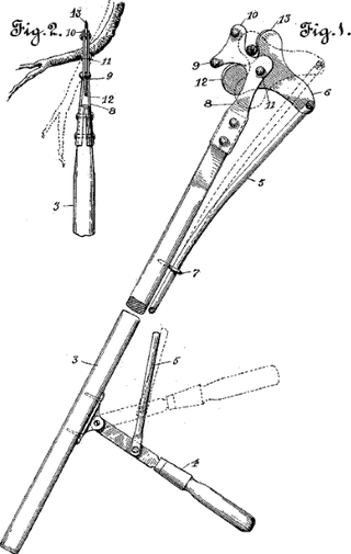 <span class="mw-page-title-main">Averruncator</span> Type of extended shears for pruning distant branches