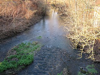 L'Aveyron à Montbouy peu avant de se jeter dans le Loing.