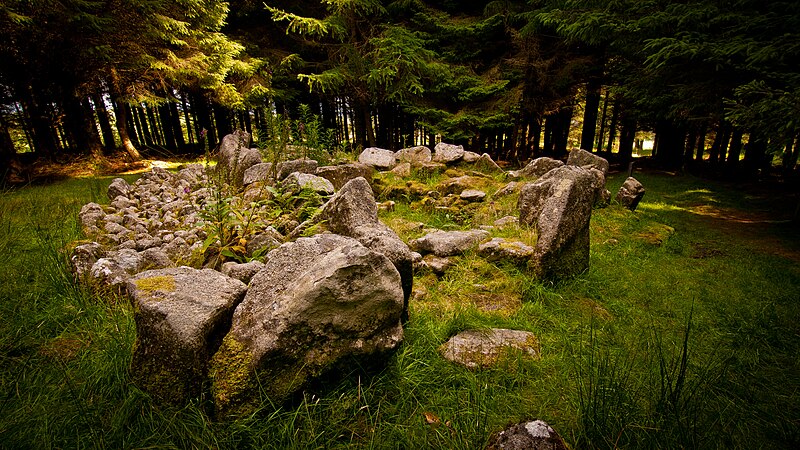 File:Ballyedmonduff Wedge Tomb.jpg