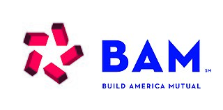 <span class="mw-page-title-main">Build America Mutual</span>