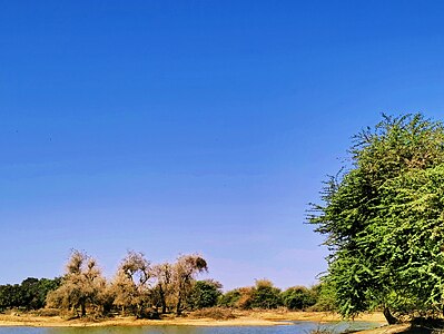 Beautiful clear blue sky Photographer : User: Awwerl