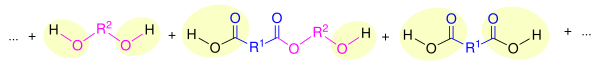 Bildung Polyester bei Diolen und Dicarbonsäuren Schritt 2.svg