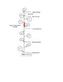 Biochem evolution timeline.pdf