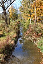 Thumbnail for Black Run (Spruce Run tributary)