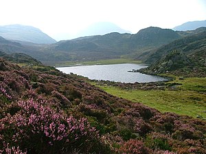 Blackbeck Tarn - geograph.org.uk - 47025.jpg