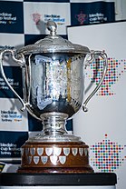 The Bledisloe Cup Bledisloe Cup on display in Sydney 2014.jpg