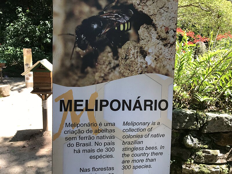 File:Botanical Garden Meliponario-Rio de Janeiro.jpg