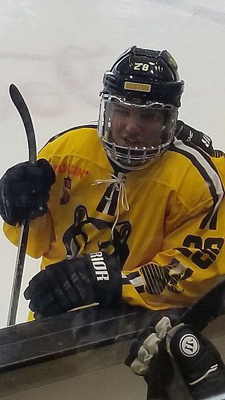 <span class="mw-page-title-main">Briana Mastel</span> American ice hockey player