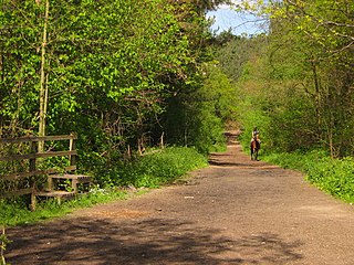 Joydens Wood