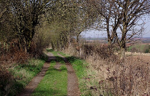 Bridleway past Stanmore Country Park, Shropshire - geograph.org.uk - 2874636