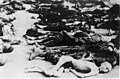 Buchenwald 16 avril 1945