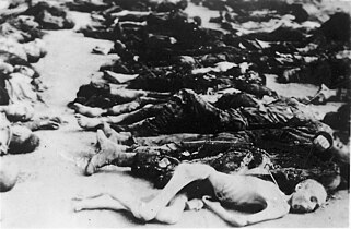 Тела замученных узников концлагеря Бухенвальд