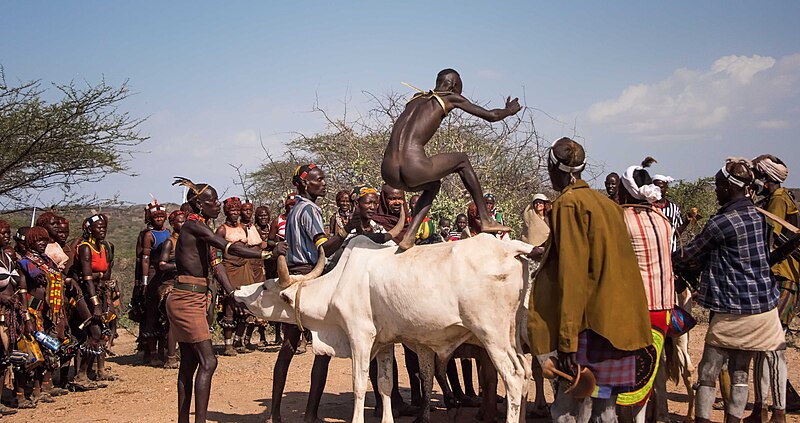 File:Bull Jumper, Hamar, Ethiopia (21188232795).jpg