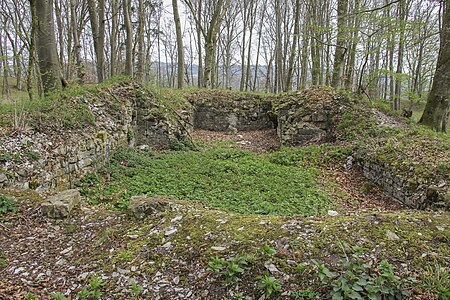 Burg Stahelsberg 04