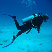 Scuba diver with face mask, fins and underwater breathing apparatus Buzo.jpg