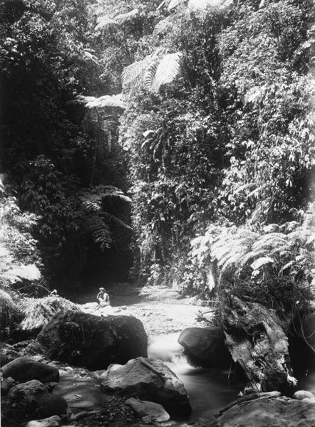 File:COLLECTIE TROPENMUSEUM Oost-Java kloof van Oemboelan (grotten van Sleepman) TMnr 60020225.jpg