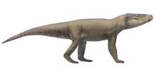 Life restoration Campinasuchus.png