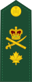 Generale di brigata (francese: Général de brigade) (esercito canadese)[15]