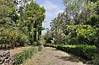 Cape Verde Santiago National Botanical Garden.jpg