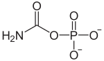 Carbamoylphosphat deprotoniert.svg