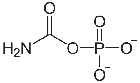 Karbamoil fosfat