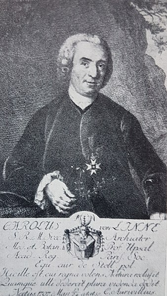 File:Carl von Linné x JM Preisler, JH Scheffel 1.jpg