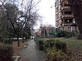 Cerak vinogradi (18.11.2018.), ulica Jasenova 02.jpg