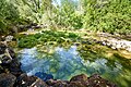 * Nomination: Small basin of the Cetina River in Croatia --Аныл Озташ 08:56, 31 August 2024 (UTC) * Review partially overexposed, center-top blurred --Georgfotoart 20:56, 1 September 2024 (UTC)