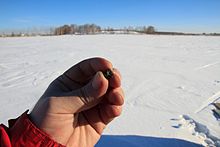 Осколок метеорита в руке и на льду