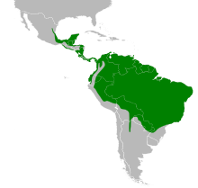 Claravis pretiosa map.svg