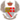 CoA mil ITA rgt cavalerie 24.png