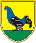 Wappen von Kranjska Gora