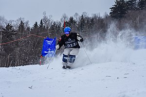 Mogul Skiing