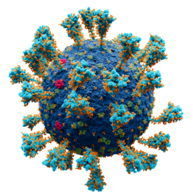 Virus – Wikipedia Tiếng Việt