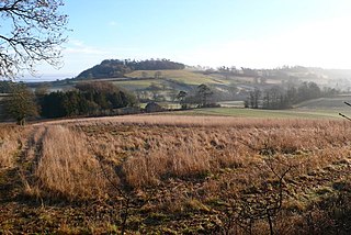 <span class="mw-page-title-main">Dogbury Hill</span> One of the highest hills in Dorset, England